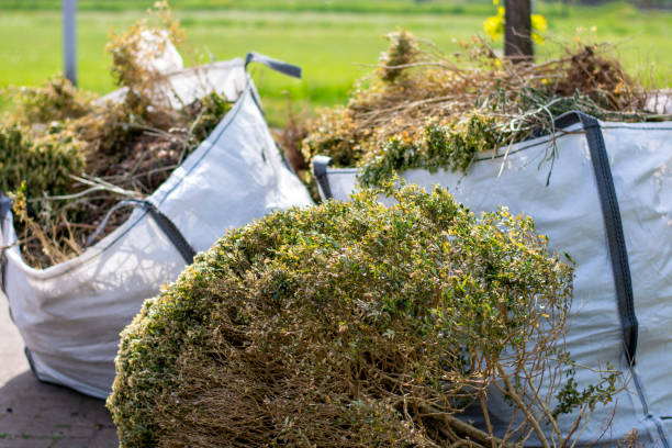 Best Appliance Removal  in Chippewa Falls, WI